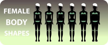 Illustration for Set of female human body. vector illustration on white background. body part. - Royalty Free Image