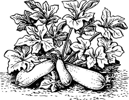 Téléchargez les illustrations : Noir et blanc belle œuvre d'art de plantes, flore, nature. illustration vectorielle - en licence libre de droit