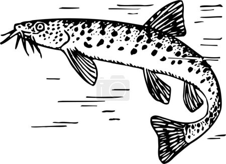 Téléchargez les illustrations : Illustration vectorielle de poissons sur fond blanc, noir et blanc - en licence libre de droit