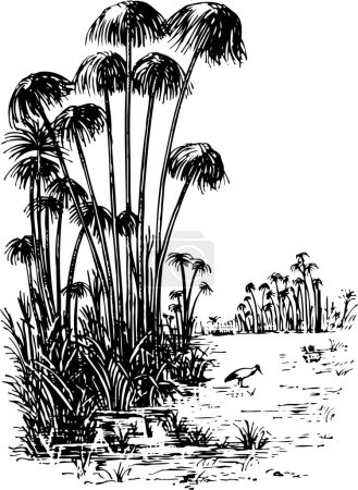 Illustration for Vector tropical palm trees illustration. black and white - Royalty Free Image