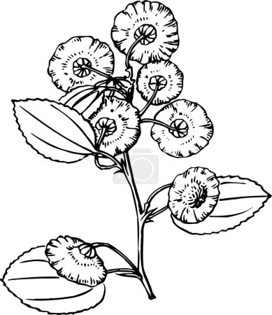 Téléchargez les illustrations : Illustration vectorielle de fleur - en licence libre de droit