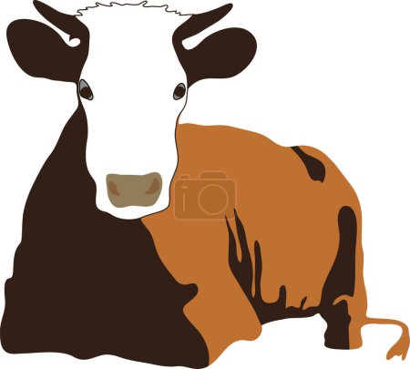 Téléchargez les illustrations : Illustration vectorielle de vache dessin animé mignon isolé sur fond blanc - en licence libre de droit