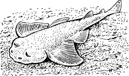 Téléchargez les illustrations : Illustration d'un poisson animal dans un aquarium - en licence libre de droit