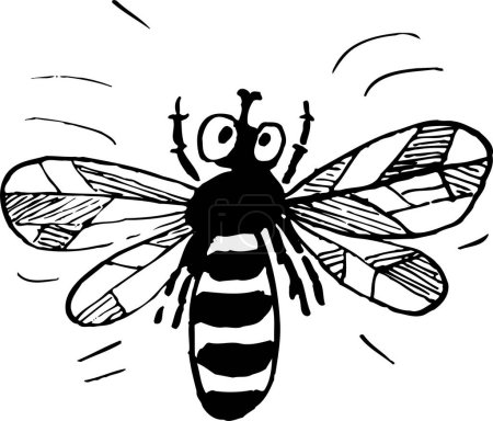 Illustration for Woodcut illustration of fly - Royalty Free Image