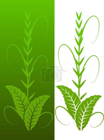 Illustration for Leaves and grass vector background - Royalty Free Image