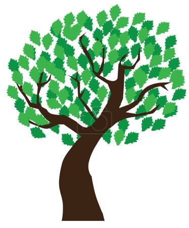 Illustration for Tree with green leaves on a white background vector illustration - Royalty Free Image