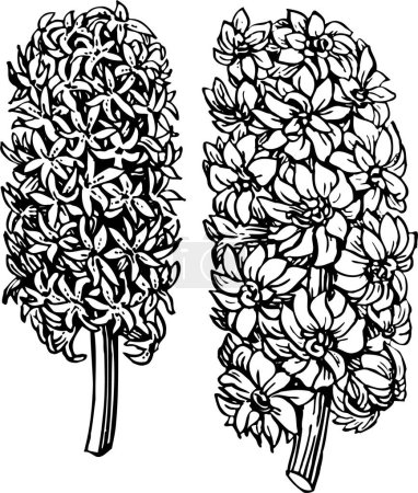 Illustration for Vector sketch of flowers, hand drawn illustration - Royalty Free Image