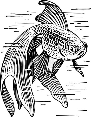 Ilustración de Ilustración vectorial de peces sobre un fondo blanco, blanco y negro - Imagen libre de derechos
