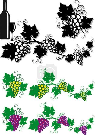 Téléchargez les illustrations : Illustration vectorielle de vin de raisin - en licence libre de droit