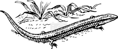 Ilustración de Una ilustración grande y pequeña en blanco y negro de una oruga grande. - Imagen libre de derechos