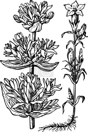 Ilustración de Hermoso fondo decorativo con elementos florales, ilustración vectorial - Imagen libre de derechos
