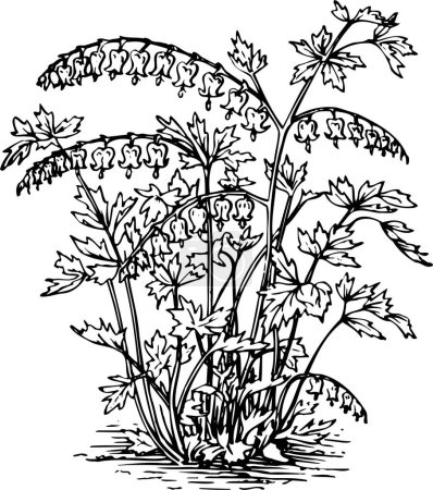 Ilustración de Dibujo vectorial de plantas con flores - Imagen libre de derechos