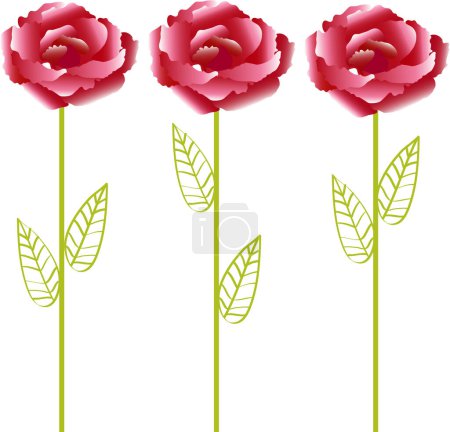Téléchargez les illustrations : Ensemble de roses roses sur fond blanc. illustration vectorielle - en licence libre de droit