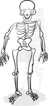 Téléchargez les illustrations : Squelette de dessin animé avec de gros os - en licence libre de droit