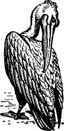 Téléchargez les illustrations : Illustration en noir et blanc d'un oiseau - en licence libre de droit