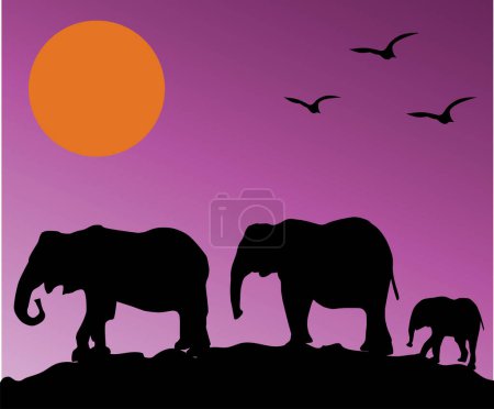 Ilustración de Safari africano animales salvajes, ilustración vectorial - Imagen libre de derechos