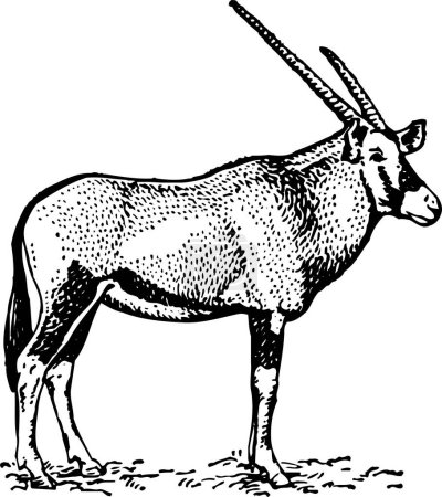 Téléchargez les illustrations : Illustration en noir et blanc d'un animal de dessin animé avec des cornes - en licence libre de droit