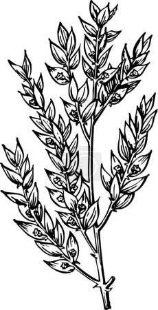 Téléchargez les illustrations : Branche vectorielle noir et blanc avec fleurs - en licence libre de droit