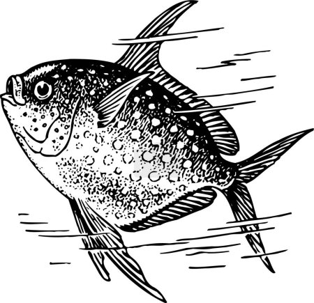 Téléchargez les illustrations : Illustration vectorielle en noir et blanc d'un poisson - en licence libre de droit