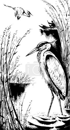 Ilustración de Ilustración de pájaro sobre fondo, vector - Imagen libre de derechos