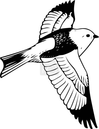 Illustration for Black and white bird vector illustration - Royalty Free Image