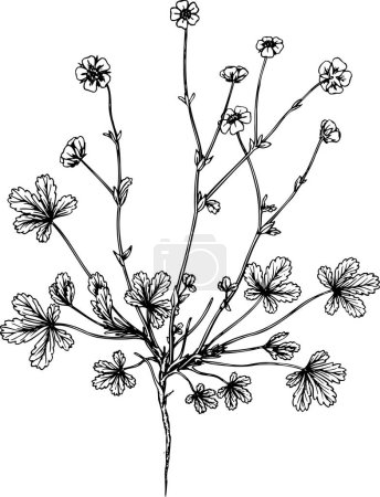 Téléchargez les illustrations : Illustration vectorielle d'un beau dessin à la main de fleurs - en licence libre de droit