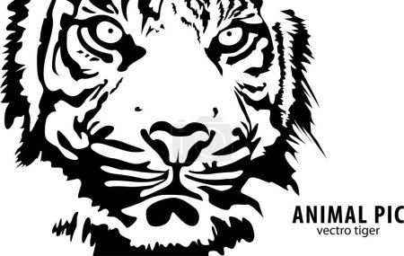 Ilustración de Silueta de cabeza de tigre, Vector - Imagen libre de derechos