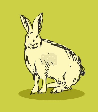 Illustration for Rabbit sketch vector illustration - Royalty Free Image