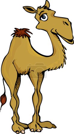 Téléchargez les illustrations : Dessin animé drôles chameau isolé sur fond blanc - en licence libre de droit