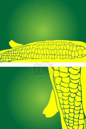 Illustration for Green corn with leaf vector - Royalty Free Image