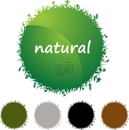 Illustration for Color natural illustration. vector - Royalty Free Image