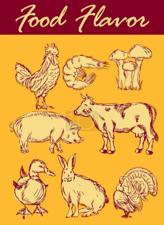 Téléchargez les illustrations : Ensemble de produits à base de viande vectorielle - en licence libre de droit