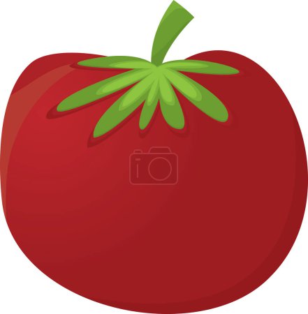 Téléchargez les illustrations : Légume de tomate icône isolée fraîche - en licence libre de droit
