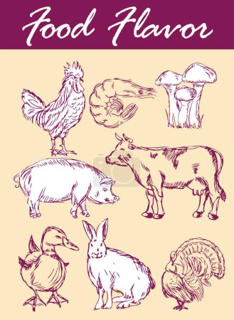 Illustration for Different animals vector illustration - Royalty Free Image