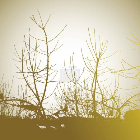 Illustration for Silhouette of a tree with sunset - Royalty Free Image