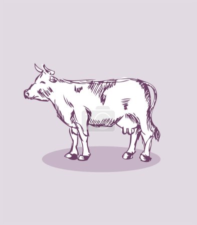 Téléchargez les illustrations : Vecteur illustration dessinée à la main de vache - en licence libre de droit