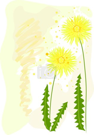 Illustration for Dandelion flowers isolated on white background - Royalty Free Image