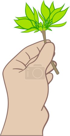 Téléchargez les illustrations : Main de dessin animé tenant une plante verte avec des feuilles - en licence libre de droit