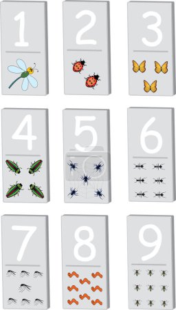 Ilustración de Conjunto de diferentes tipos de insectos y números del 1 al 9 - Imagen libre de derechos