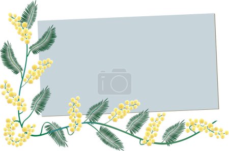 Téléchargez les illustrations : Cadre avec fleurs de mimosa - en licence libre de droit