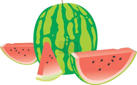 Illustration for Sweet watermelon, vector illustration - Royalty Free Image