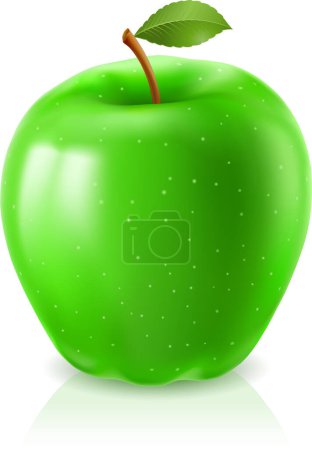 Ilustración de Manzana fresca con hoja verde aislada sobre fondo blanco - Imagen libre de derechos