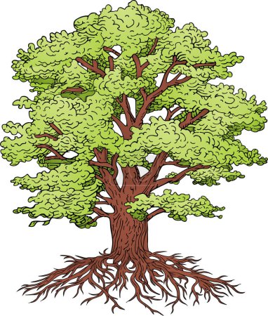 Téléchargez les illustrations : Illustration de dessin animé d'un grand arbre - en licence libre de droit
