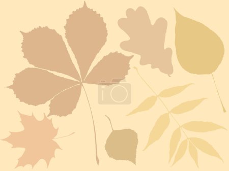 Illustration for Set with different leaves, vector illustration - Royalty Free Image