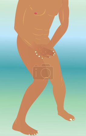 Téléchargez les illustrations : Mâle au ventre nu. illustration vectorielle - en licence libre de droit