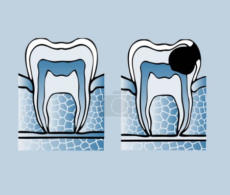 Illustration for Tooth icon. vector illustration - Royalty Free Image