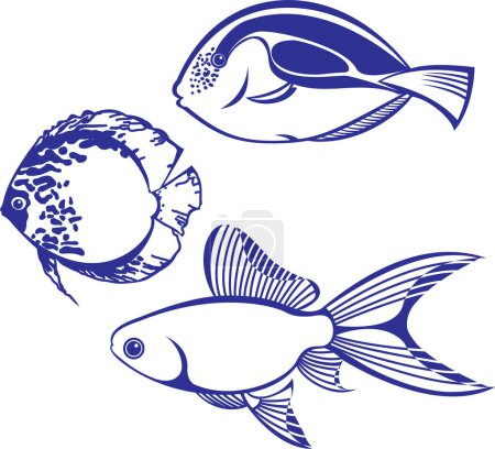 Illustration for The fish vector  illustration - Royalty Free Image