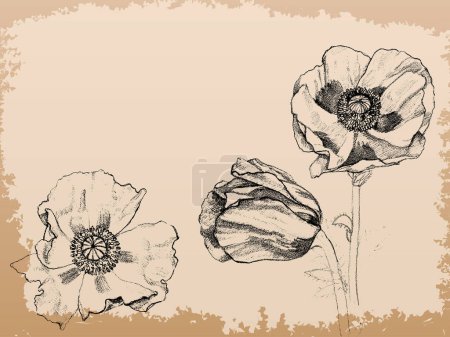 Téléchargez les illustrations : Fond vintage avec illustration d'art fleur - en licence libre de droit