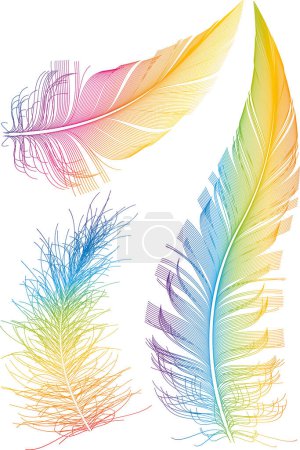 Téléchargez les illustrations : Ensemble de plumes colorées sur fond blanc - en licence libre de droit