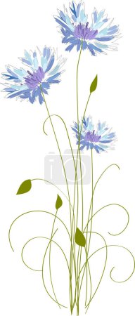 Téléchargez les illustrations : Fleurs et feuilles aquarelle sur fond blanc - en licence libre de droit